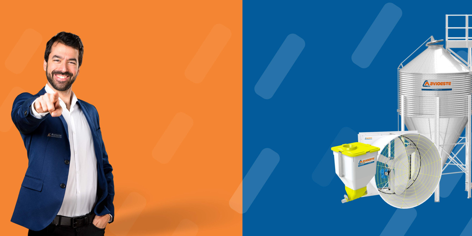 Imagem Garanta o melhor para seu aviário